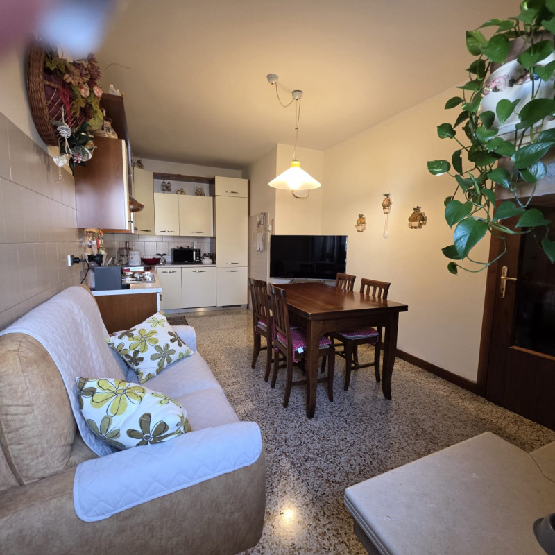 disponibile bella casa singola composta da ingresso carraio e pedonale indipendente. Al piano ter...