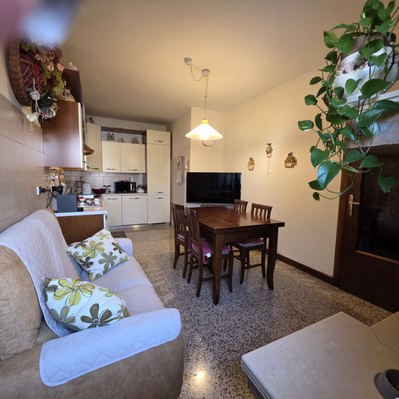 disponibile bella casa singola composta da ingresso carraio e pedonale indipendente. Al piano ter...