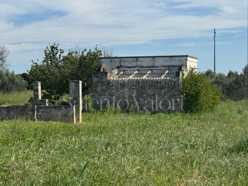 Casa singola a Matino
