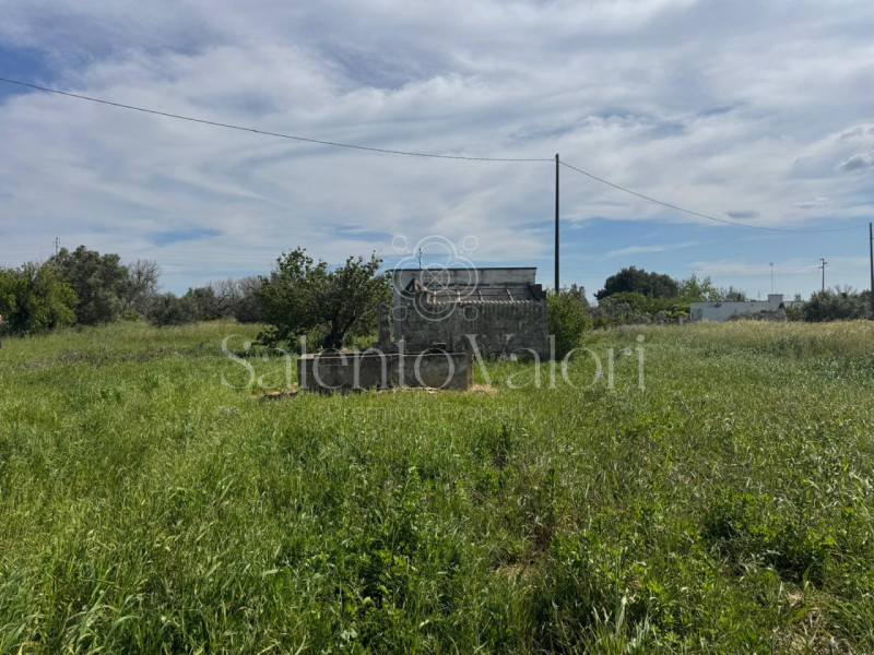 Casa singola a Matino