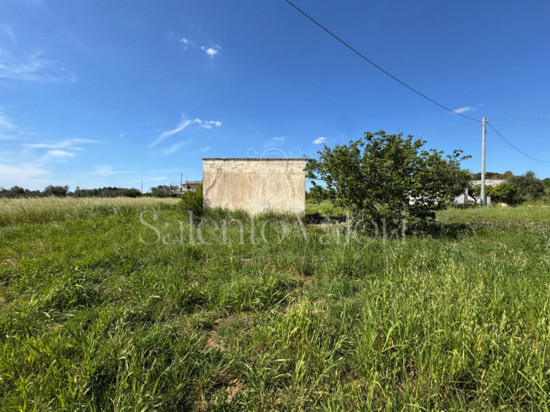 Casa singola a Matino