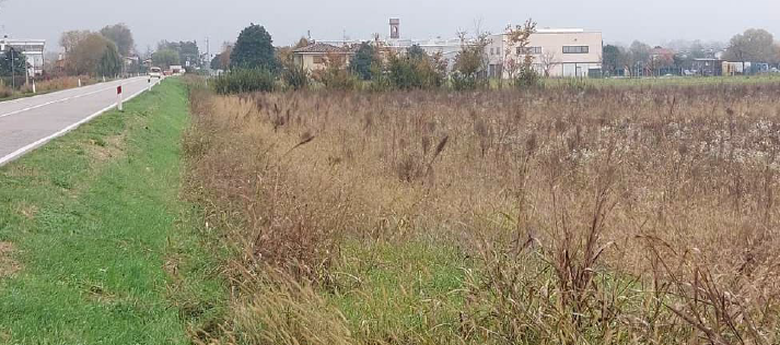 Rif. A.A.66-251

Vendita all'asta - terreno edificabile residenziale in data 18 giugno 2026

Desc...