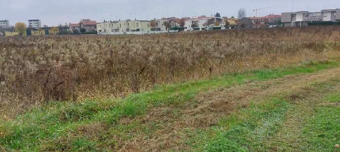Rif. A.A.66-251

Vendita all'asta - terreno edificabile residenziale in data 18 giugno 2026

Desc...
