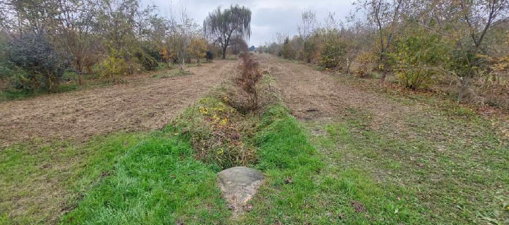 Rif. A.A.66-251

Vendita all'asta - terreno edificabile residenziale in data 18 giugno 2026

Desc...