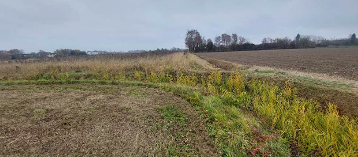 Rif. A.A.66-251

Vendita all'asta - terreno edificabile residenziale in data 18 giugno 2026

Desc...
