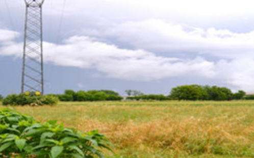 Rif. A.A.218-25

Vendita all'asta - terreno agricolo in data 26 giugno 2026

Descrizione: trattas...