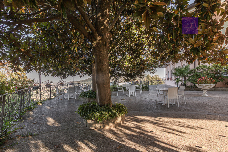 Complesso ricettivo panoramico sui Colli Euganei | Hotel con 30 camere e ampia estensione fondiar...