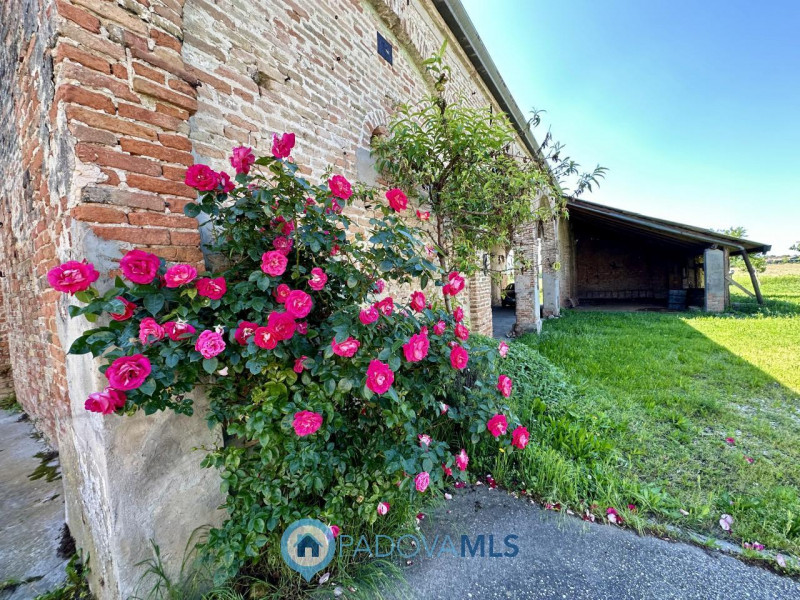 RUSTICO CON TERRENO AGRICOLO A CASALSERUGO €.250.000 - rif.1691

Il rustico in vendita a Casalser...