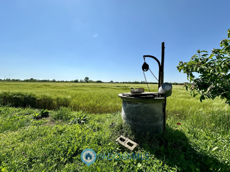 RUSTICO CON TERRENO AGRICOLO A CASALSERUGO €.250.000 - rif.1691

Il rustico in vendita a Casalser...