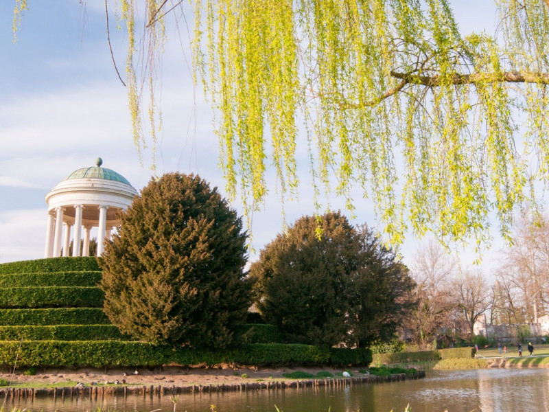 Nella ricercata zona di Vicenza detta "Oasi di Casale " 
Villa Giardino 3 Camere Box Terrazzo 

L...