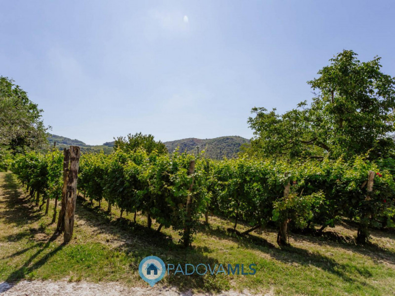 RUSTICO/CASA di 2 unità con ampio terreno a VALNOGAREDO €.490.000 - rif.1434

Cinto Euganeo - A V...