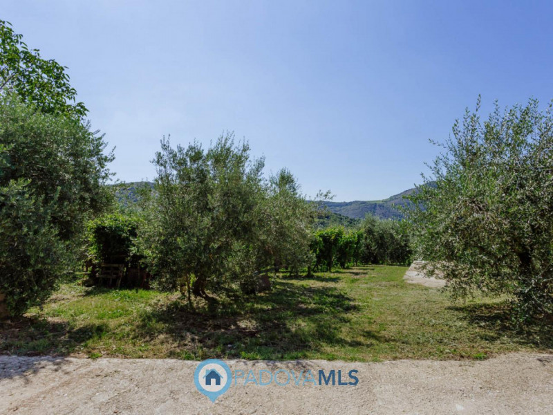 RUSTICO/CASA di 2 unità con ampio terreno a VALNOGAREDO €.490.000 - rif.1434

Cinto Euganeo - A V...