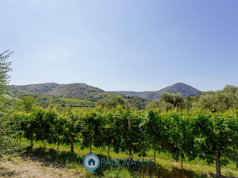 RUSTICO/CASA di 2 unità con ampio terreno a VALNOGAREDO €.490.000 - rif.1434

Cinto Euganeo - A V...