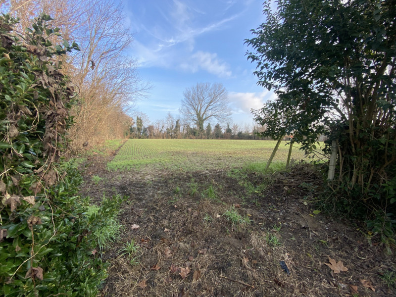 Proponiamo nel comune di Legnaro, casa singola da ristrutturare immersa nel verde. L'immobile si ...