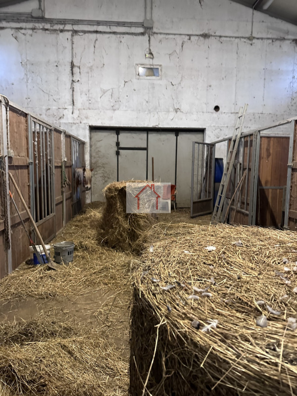 Sei alla ricerca di un'opportunità unica per gestire il tuo amore per i cavalli? Ti presentiamo q...