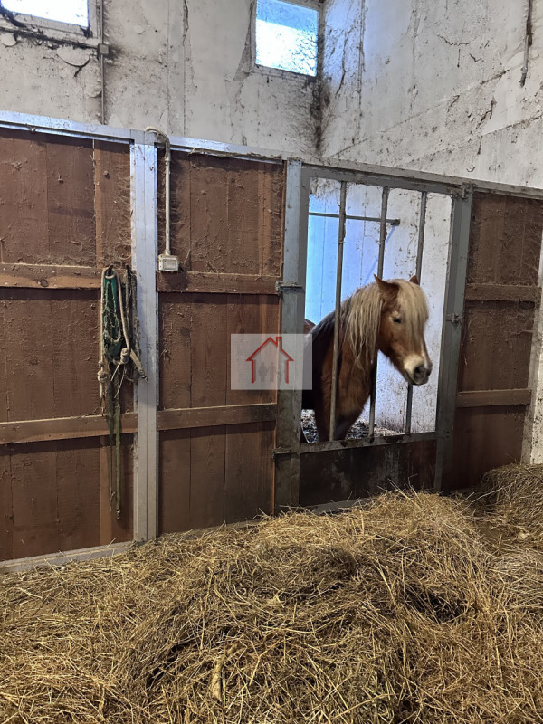 Sei alla ricerca di un'opportunità unica per gestire il tuo amore per i cavalli? Ti presentiamo q...