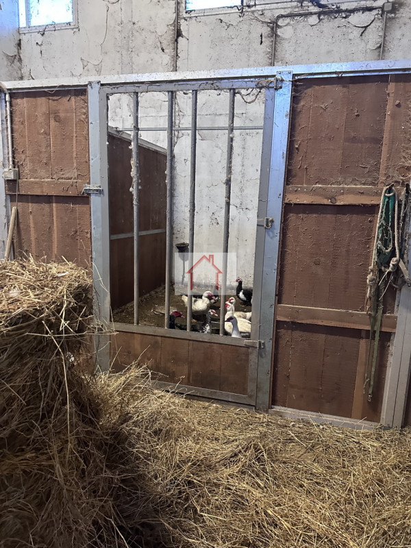 Sei alla ricerca di un'opportunità unica per gestire il tuo amore per i cavalli? Ti presentiamo q...