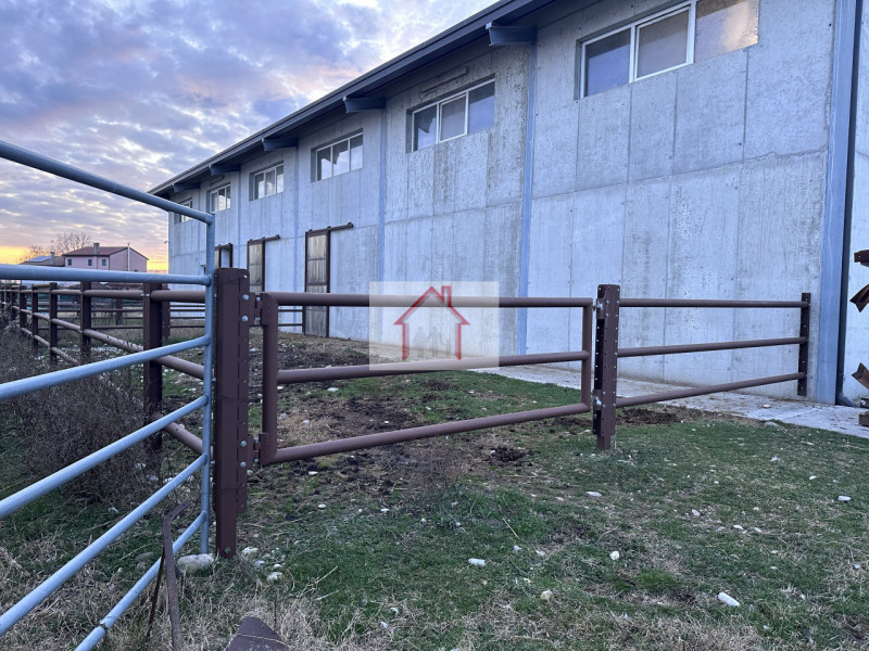 Sei alla ricerca di un'opportunità unica per gestire il tuo amore per i cavalli? Ti presentiamo q...