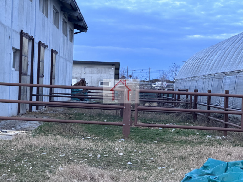 Sei alla ricerca di un'opportunità unica per gestire il tuo amore per i cavalli? Ti presentiamo q...