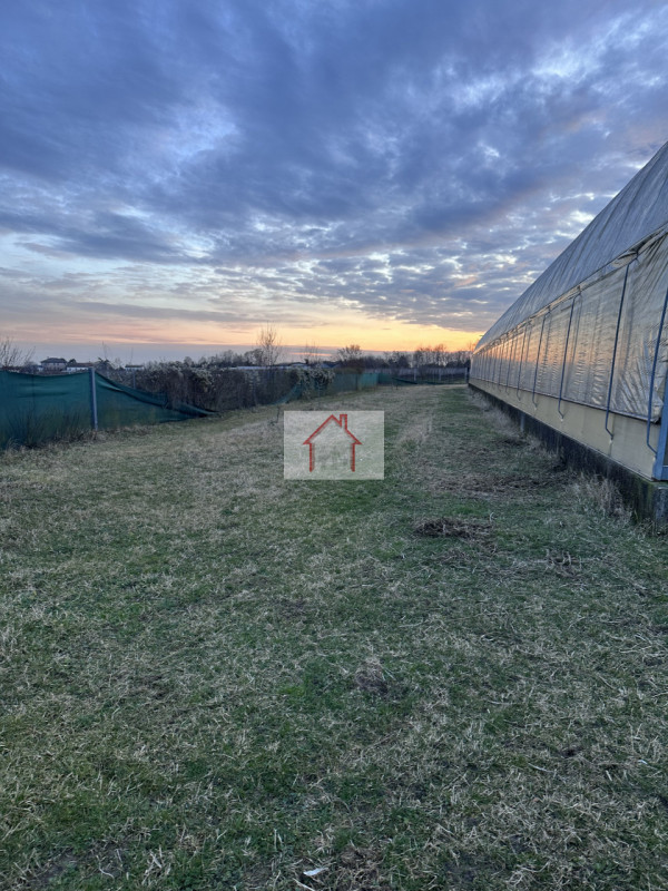 Sei alla ricerca di un'opportunità unica per gestire il tuo amore per i cavalli? Ti presentiamo q...