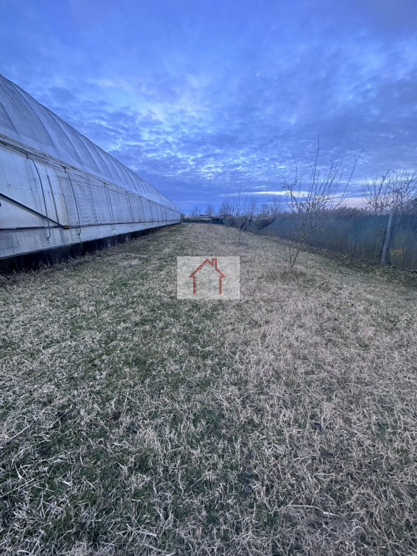 Sei alla ricerca di un'opportunità unica per gestire il tuo amore per i cavalli? Ti presentiamo q...