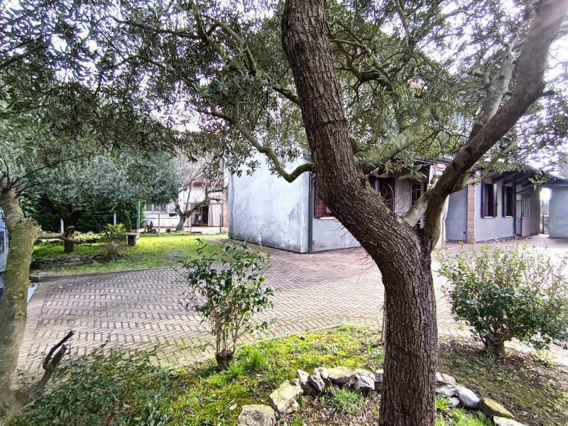 Rif. SAPS175 
Proponiamo in esclusiva una casa singola a Sant’Angelo di Piove di Sacco.
Questa so...