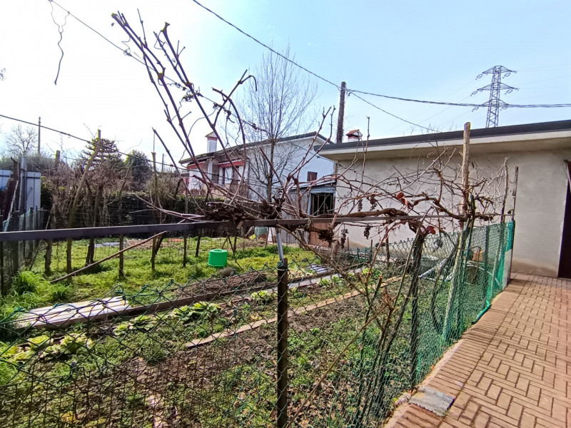 Rif. SAPS175 
Proponiamo in esclusiva una casa singola a Sant’Angelo di Piove di Sacco.
Questa so...