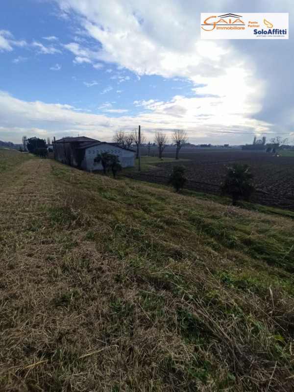 CAGNOLA DI CARTURA: In pieno contesto di campagna, estremamente tranquillo e rilassante, ideale p...