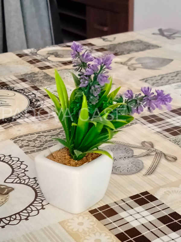 Attico su Due Livelli nel Cuore di Massa Lombarda: Moderno, Arredato e Pronto da Vivere!
Se cerch...