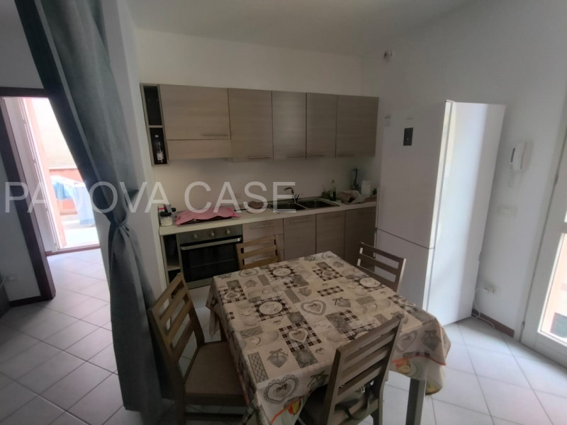 Attico su Due Livelli nel Cuore di Massa Lombarda: Moderno, Arredato e Pronto da Vivere!
Se cerch...