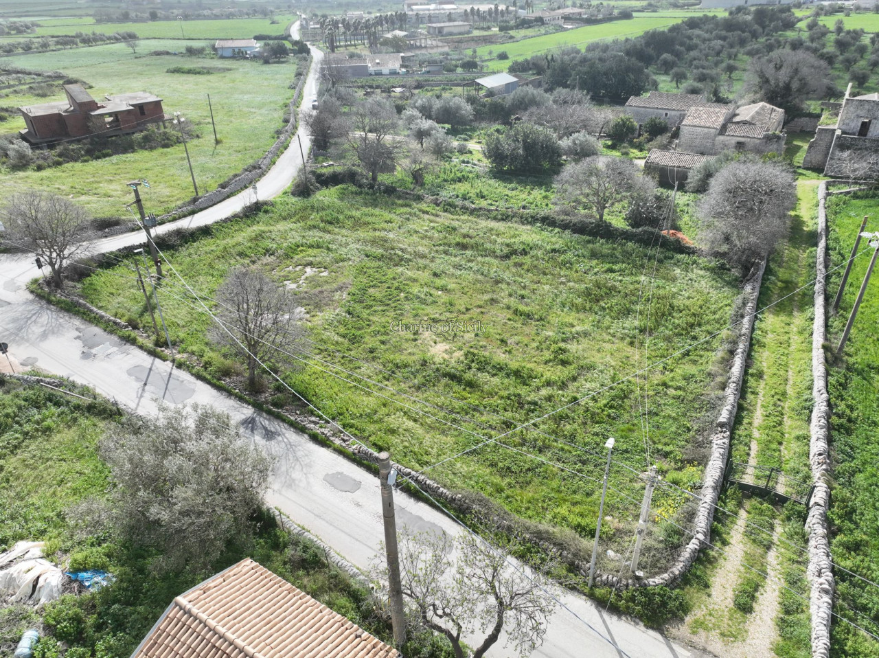 immagine annuncio 6 di 9