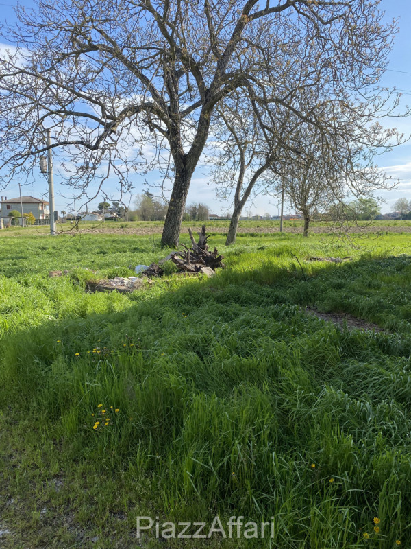 Proponiamo in vendita in Via Fiumicello del comune di Brugine, in zona rurale, interessante fabbr...