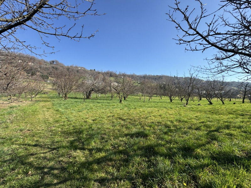 TERRENO AGRICOLO PIANEGGIANTE 

Immobiliare Unica Colceresa via Marconi 2 Per info e appuntamenti...