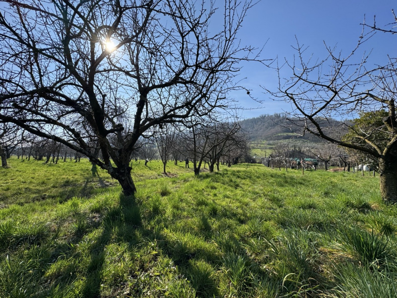 TERRENO AGRICOLO PIANEGGIANTE 

Immobiliare Unica Colceresa via Marconi 2 Per info e appuntamenti...