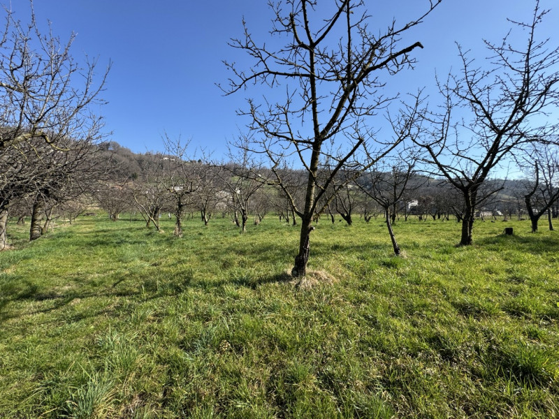 TERRENO AGRICOLO PIANEGGIANTE 

Immobiliare Unica Colceresa via Marconi 2 Per info e appuntamenti...