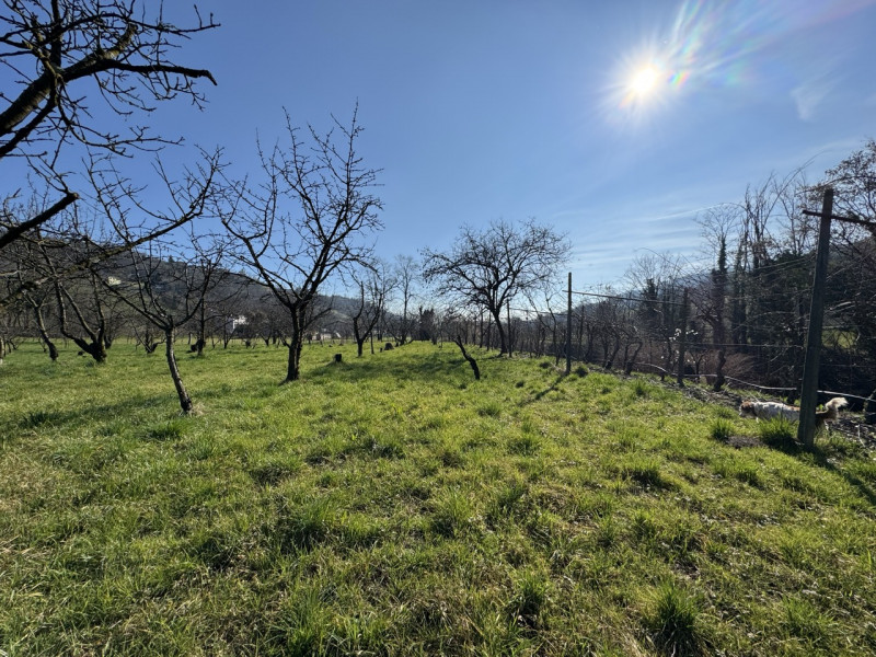 TERRENO AGRICOLO PIANEGGIANTE 

Immobiliare Unica Colceresa via Marconi 2 Per info e appuntamenti...
