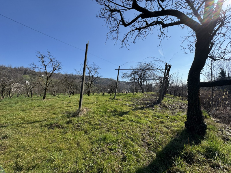TERRENO AGRICOLO PIANEGGIANTE 

Immobiliare Unica Colceresa via Marconi 2 Per info e appuntamenti...