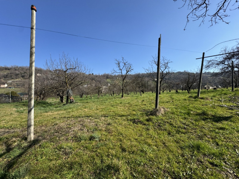 TERRENO AGRICOLO PIANEGGIANTE 

Immobiliare Unica Colceresa via Marconi 2 Per info e appuntamenti...