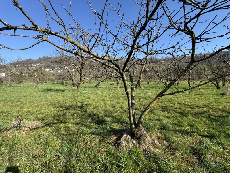 TERRENO AGRICOLO PIANEGGIANTE 

Immobiliare Unica Colceresa via Marconi 2 Per info e appuntamenti...