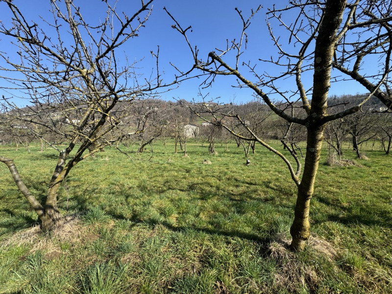 TERRENO AGRICOLO PIANEGGIANTE 

Immobiliare Unica Colceresa via Marconi 2 Per info e appuntamenti...