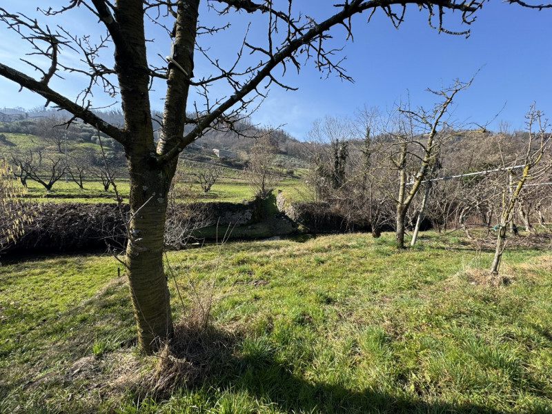 TERRENO AGRICOLO PIANEGGIANTE 

Immobiliare Unica Colceresa via Marconi 2 Per info e appuntamenti...