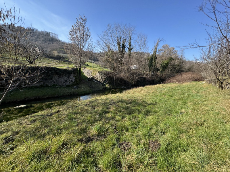 TERRENO AGRICOLO PIANEGGIANTE 

Immobiliare Unica Colceresa via Marconi 2 Per info e appuntamenti...