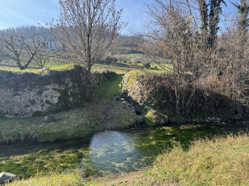 TERRENO AGRICOLO PIANEGGIANTE 

Immobiliare Unica Colceresa via Marconi 2 Per info e appuntamenti...