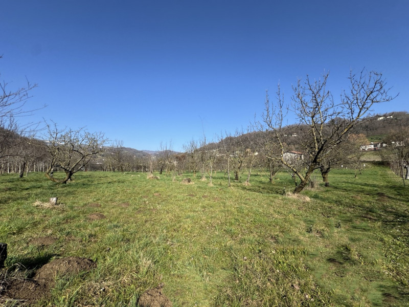 TERRENO AGRICOLO PIANEGGIANTE 

Immobiliare Unica Colceresa via Marconi 2 Per info e appuntamenti...
