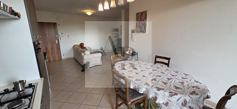 Perarolo: Proponiamo in locazione, splendido e luminoso appartamento trilocale situato nel cuore ...