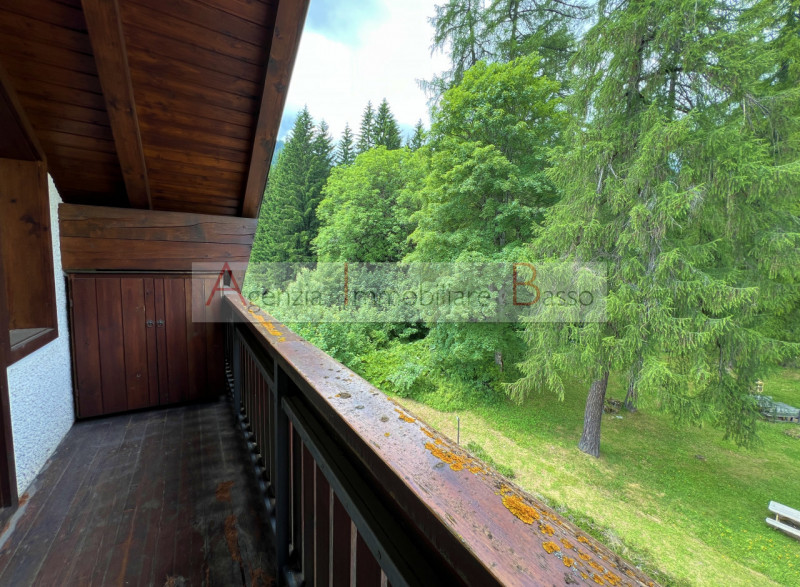 VIVERE LA MONTAGNA – PÈCOL, AI PIEDI DEL CIVETTA

Nel cuore di Pecol, rinomata località turistic...