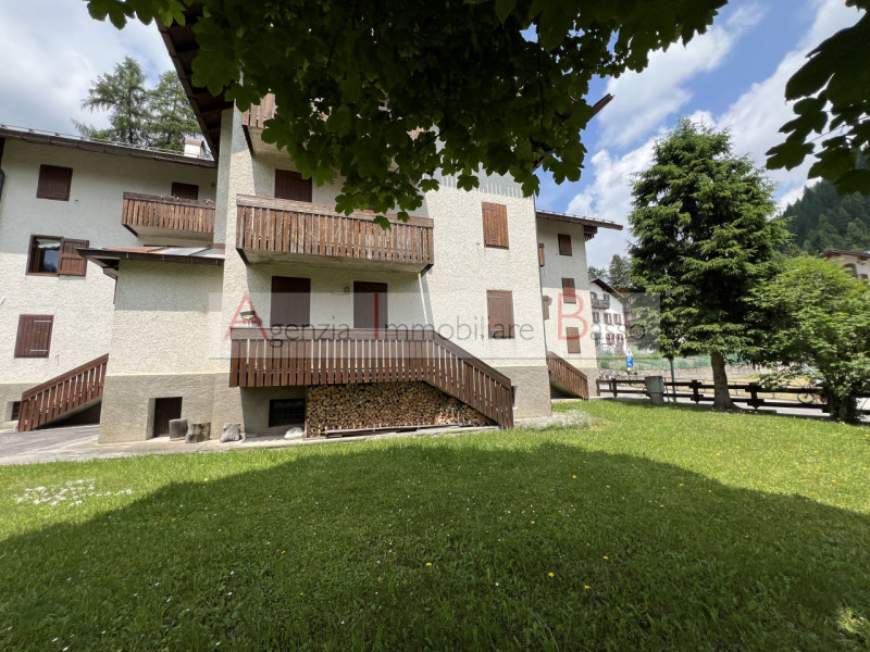 VIVERE LA MONTAGNA – PÈCOL, AI PIEDI DEL CIVETTA

Nel cuore di Pecol, rinomata località turistic...