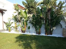 RUBANO- Padova in zona comoda e tranquilla, su nuova palazzina di sole 5 unità, poche spese condo...