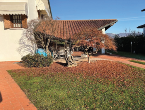 Rif. A.A.449-23

Vendita all'asta - villino su 3 livelli con giardino in data 31 marzo 2026

Desc...