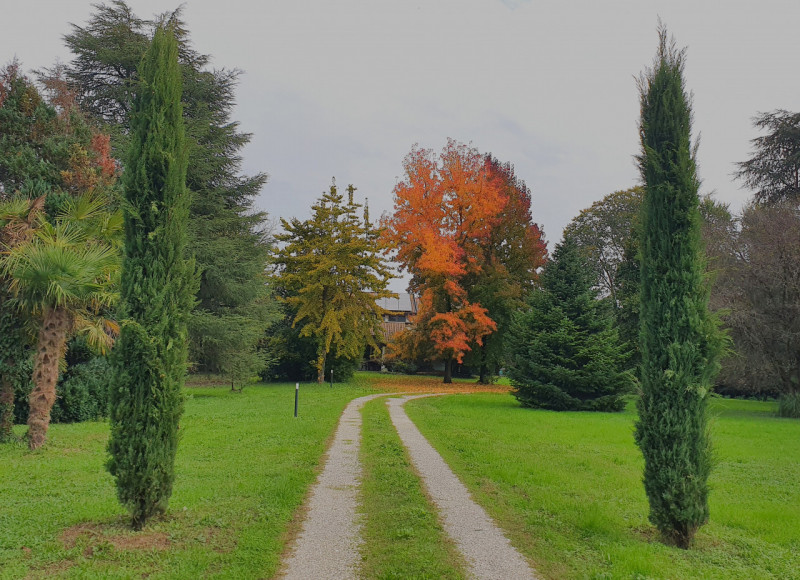 Proponiamo in vendita una splendida villa indipendente situata nella zona più verde e tranquilla ...